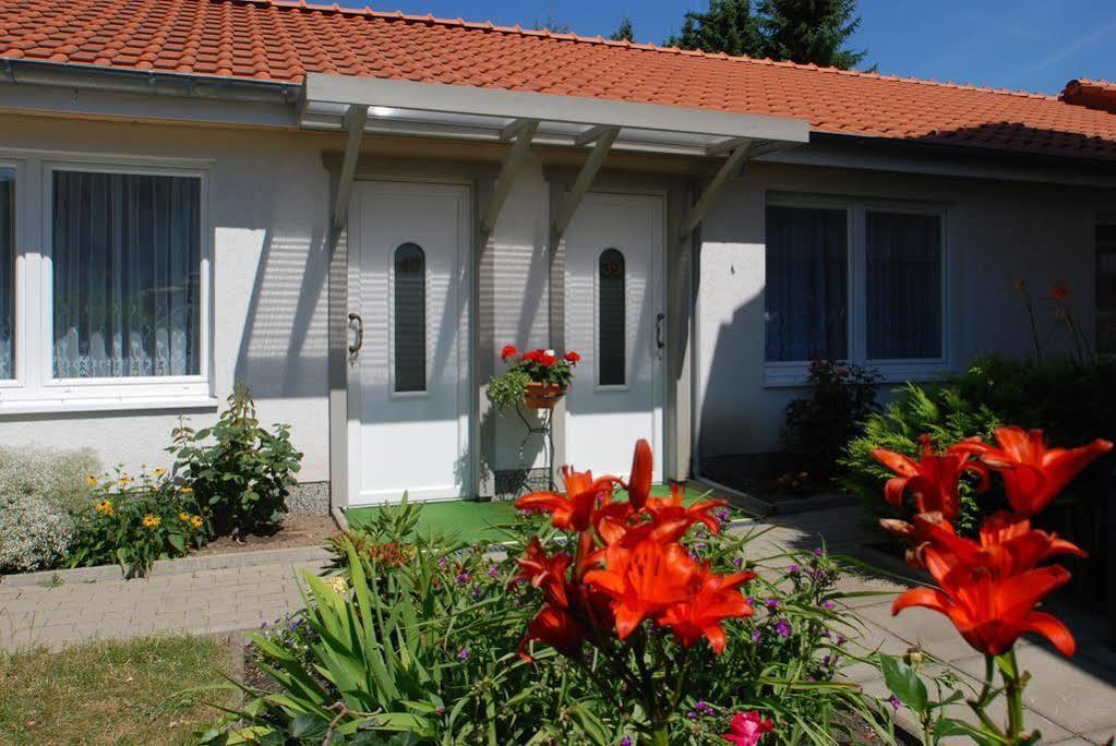 Hotel Brauner Hirsch Bad Harzburg Exterior photo